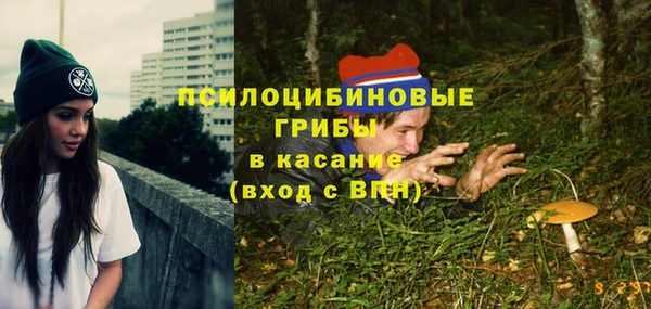 МДПВ Алексеевка