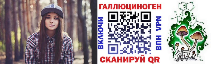 цена   Прохладный  Галлюциногенные грибы Cubensis 